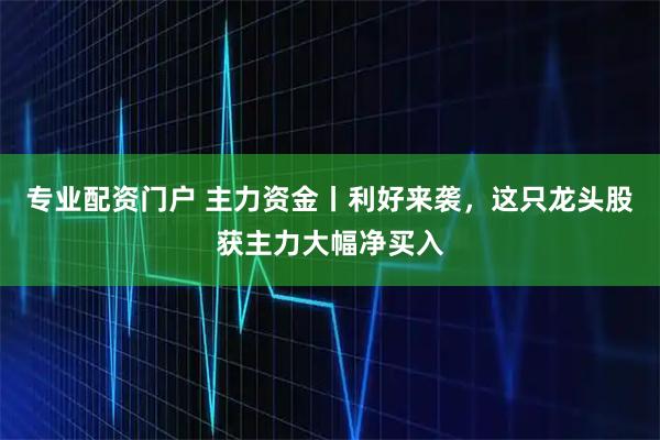 专业配资门户 主力资金丨利好来袭，这只龙头股获主力大幅净买入