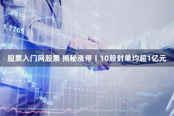 股票入门网股票 揭秘涨停丨10股封单均超1亿元